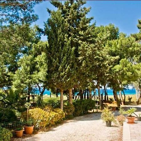 Appartamento I Tramonti Di Cofano Castelluzzo Exteriér fotografie