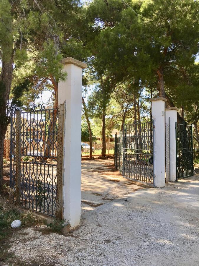 Appartamento I Tramonti Di Cofano Castelluzzo Exteriér fotografie