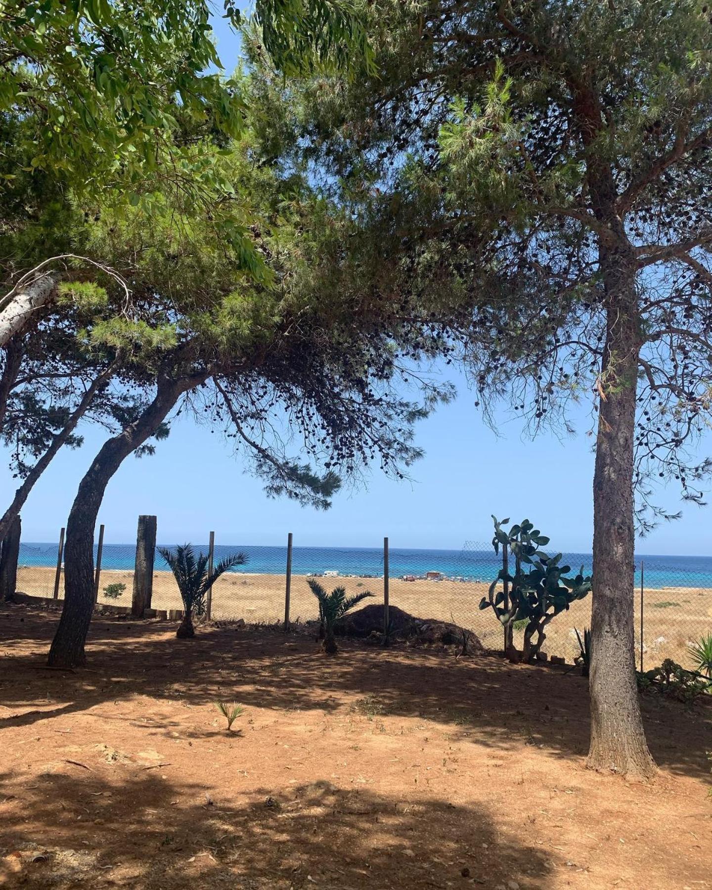 Appartamento I Tramonti Di Cofano Castelluzzo Exteriér fotografie